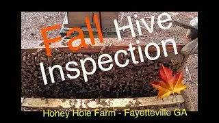 Beekeeping:  Fall Hive Inspection!