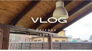 VLOG: первый раз сажаю в огороде| показываю,как делать не надо!😁 #vlog #рассадаперцев #рассада