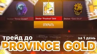 🔥ТРЕЙД ДО НАКЛЕЙКИ PROVINCE GOLD | ЗА ОДИН ДЕНЬ / ТРЕЙД В STANDOFF 2 | СТЕНДОФФ2