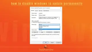 how to disable windows 10 / 11  update permanently