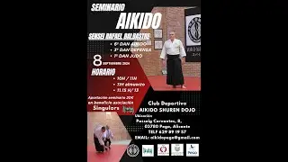 SEMINARIO AIKIDO 