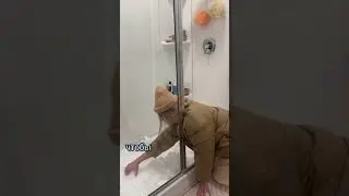 Котики и снег 