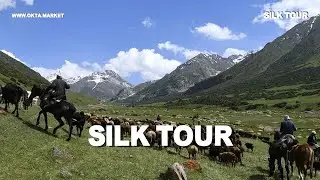 SILK TOUR