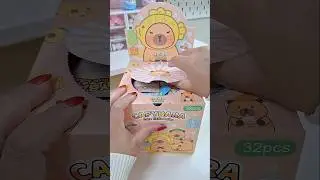 Unboxing Capybara Blind bag 🫶🌈 