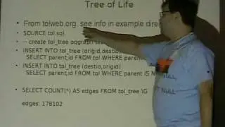 Graph Engine for MySQL