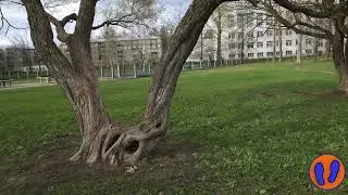 Это тоже #Рига. Кенгарагс. Променад