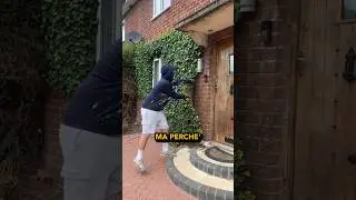They tear the ivy 🤔🌿🧱