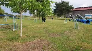 Agility auf Distanz