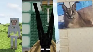 Tik tok meme Minecraft