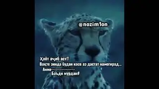 Хаёт ачибаст