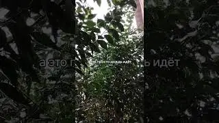 Как странно | Поэзия Стихи Проза Музыка Релакс  | Красивые Видео 