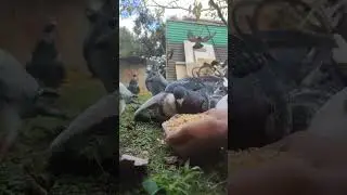 Lunch time!!!!! 