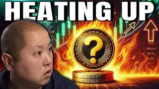These Altcoin Sectors Are Heating Up!
