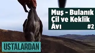 Muş Bulanık - Çil ve Keklik Avı 2. Bölüm Ustalardan - Yaban Tv  Freckle and Partridge Hunting