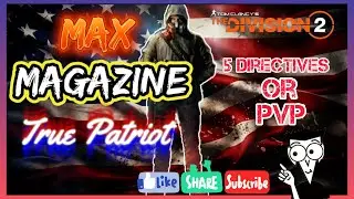 Max Magazine True Patriot Build. Heroic 5 directives or PvP