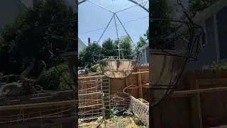 Suspended water fountain