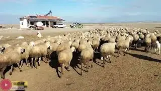 Çiftliğimiz - 9 Mart 2023
