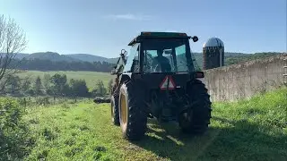 The first morning on the farm