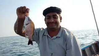 Fishing | ARG | memories | 2k24
