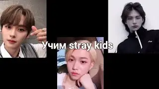 УЧИМ К ПОП ГРУППУ СТРЕЙ КИДС/STRAY KIDS (By K-pop4ek)