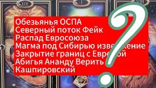 Обезьянья ОСПА Распад Евросоюза  Ельцин Центр Закрытие границы Магма под Сибирью Кашпировский Таро