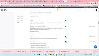 Enable the co-host in setting and on Chrome for Zoom
