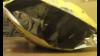 Cockatiels in a crisp bag
