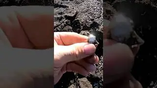 Артефакты со дна водохранилища.  