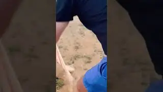 #shorts