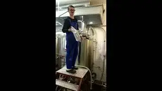 Внесение малинового пюре при варке DIPA 18 %