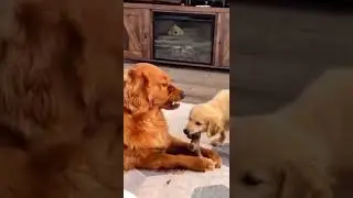 the self control🤣