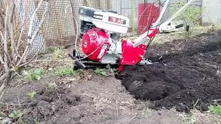 Брайт закопался.