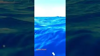 Акула на поверхности океана , Shark on the surface of the ocean #акула #fishing #океан