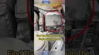 No sound from car horn? Just replace the spare fuse！