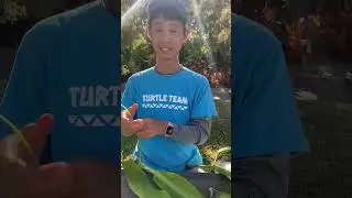 HWF intern, Alex Xia, creates ti leaf lei for Lahaina fire victims