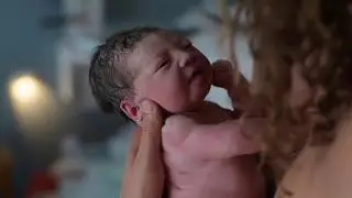 The birth of Perdy
