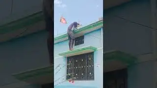 Comedy Video