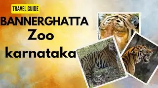 Bannerghatta zoo Karnataka