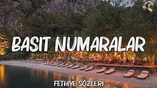 Zerrin Özer - Basit Numaralar (Sözleri/Lyrics)