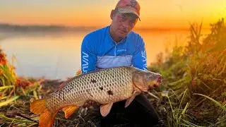 FINALLY A TROPHY CARP We got into the delta where there is only reed Fishing in Astrakhan Morning...