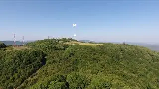 Дельфин Облака
