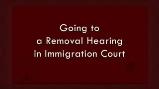 Going to a Removal Hearing in Immigration Court