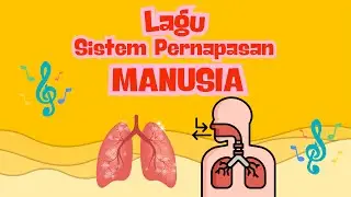 LAGU SISTEM PERNAPASAN MANUSIA