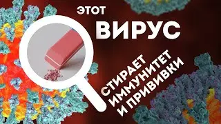Корь вернулась - стоит ли переживать?
