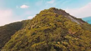 [Southern paradise Miyazaki Japan] Dreaming Girl - Asami Nagakiya | Pan Steel Drum