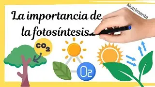 La IMPORTANCIA de la FOTOSÍNTESIS para la vida en la Tierra