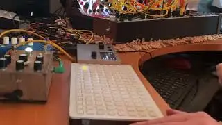 Buchla 200e and Monome Norns Corners script