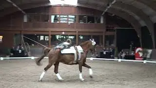 Gioia Valeria Keppler freestyle