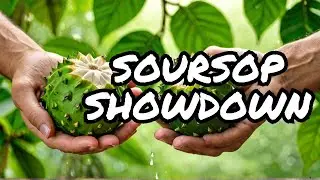 Soursop Benefits: Best Form for Maximum Health Impact!