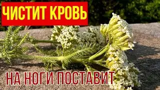 Раньше еле ходил, а теперь бегаю как подросток/ Словно молодость вернулась